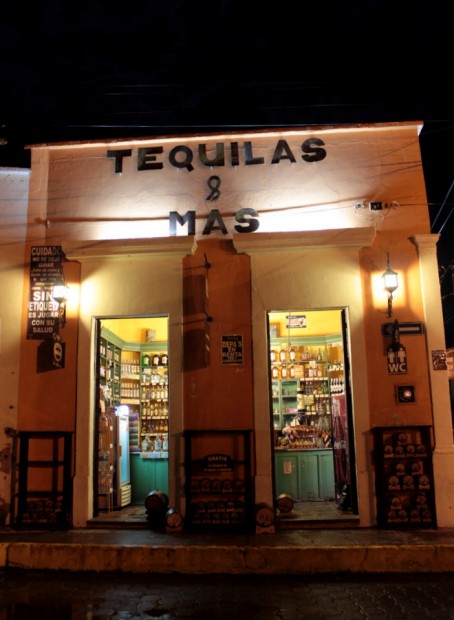 IMG_5954-454x620 Tequila en Tequila