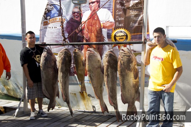fishing-tourney-100-_10-620x413 5th Deep Sea Fishing Tournament Day 2