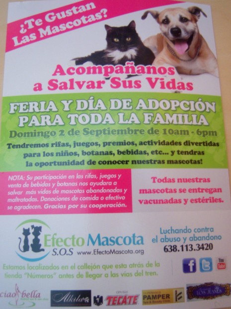 100_4926-465x620 Pet Fair & Adoption Day Sept. 2 ~ Pet Effect