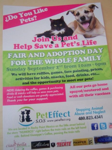 100_4930-465x620 Pet Fair & Adoption Day Sept. 2 ~ Pet Effect