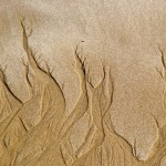 Natural-Sand-Background-2-150x150 Joe Houchin