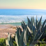 Ensenada-Beach-150x150 Manny Sanchez