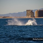 sunsetwhale-7050-150x150 A Whale of a good time in Puerto Peñasco