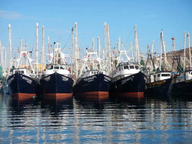 DSCN3004-620x465 Rescuing Traditions: Send off of Shrimp Fleet
