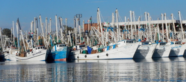 DSCN3005-620x276 Rescuing Traditions: Send off of Shrimp Fleet