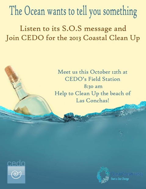 cedo-beach-clean-up-oct-12-479x620 Beach Clean up in Las Conchas! 10/12