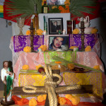 Cobach-Altares-2013-24-150x150 COBACH - Dia de los Muertos Concurso de Altares