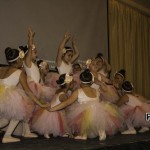 Dia-de-la-danza-25-150x150 IV Celebración del día internacional de la danza