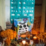 DiademuertosCasadelaCultura-11-150x150 Ofrendas Día de Muertos