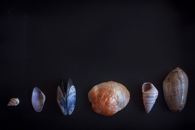 jesu-conchitas-2-630x420 Meet the artisan: Shell artistry by Jesu