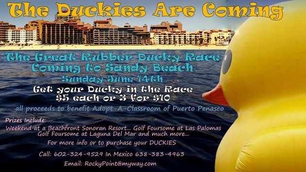duck-race-630x354 Start your engines! Rocky Point Weekend Rundown!