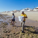 puerto-penasco-turtle-release-2015-006-150x150 Turtle release on a magical afternoon