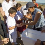 puerto-penasco-turtle-release-2015-010-150x150 Turtle release on a magical afternoon