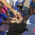 puerto-penasco-turtle-release-2015-011-150x150 Turtle release on a magical afternoon