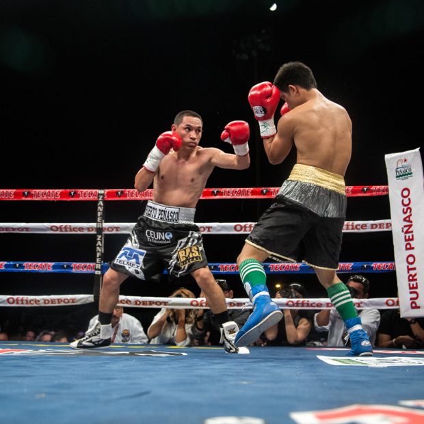 oct-pelea-gallo-supermosca-20-620x620 Gallo Estrada vs  Raymond Tabugon