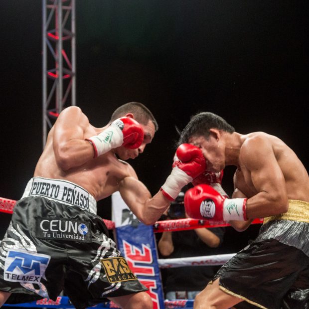 oct-pelea-gallo-supermosca-27-620x620 Gallo Estrada vs  Raymond Tabugon