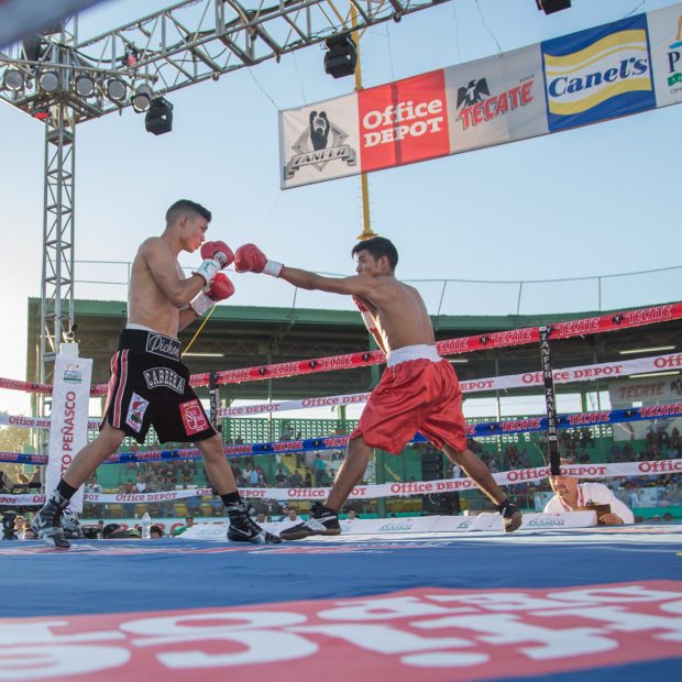 oct-pelea-gallo-supermosca-3-620x620 Gallo Estrada vs  Raymond Tabugon