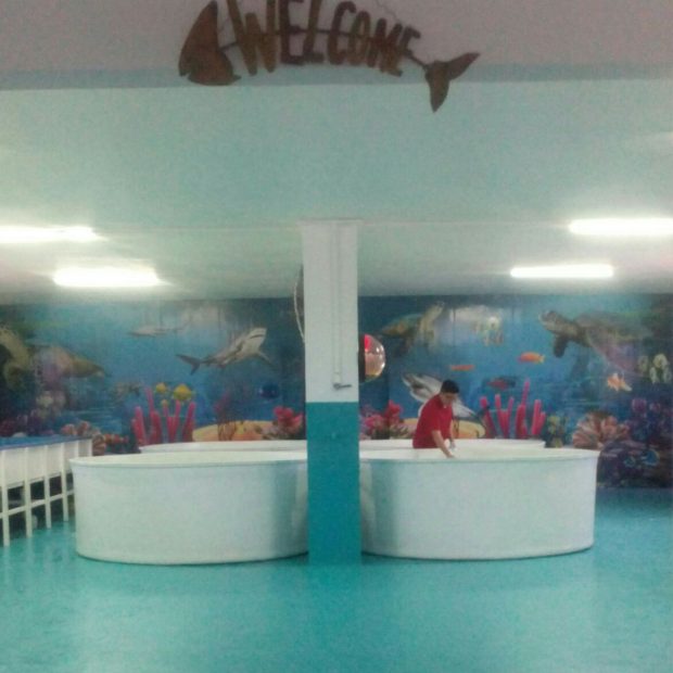 aquario-2017-1-620x620 Podrán familias de Puerto Peñasco y turistas visitar mini-acuario
