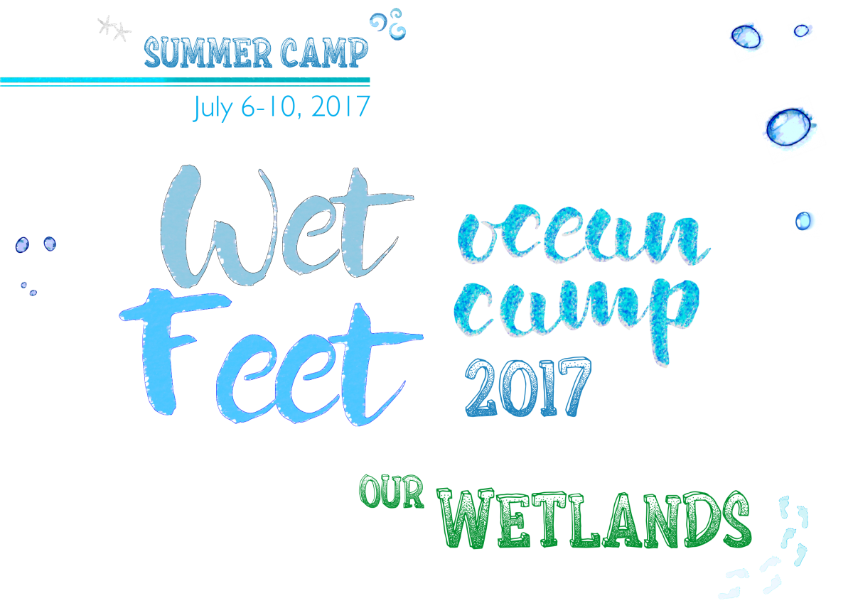 cedo-wetfeet-1200x849 CEDO Wet Feet Camp / Pies Mojados  coming in July!