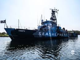 sea-shepherd-sharpie Ships returns to monitor Vaquita Marina Habitat
