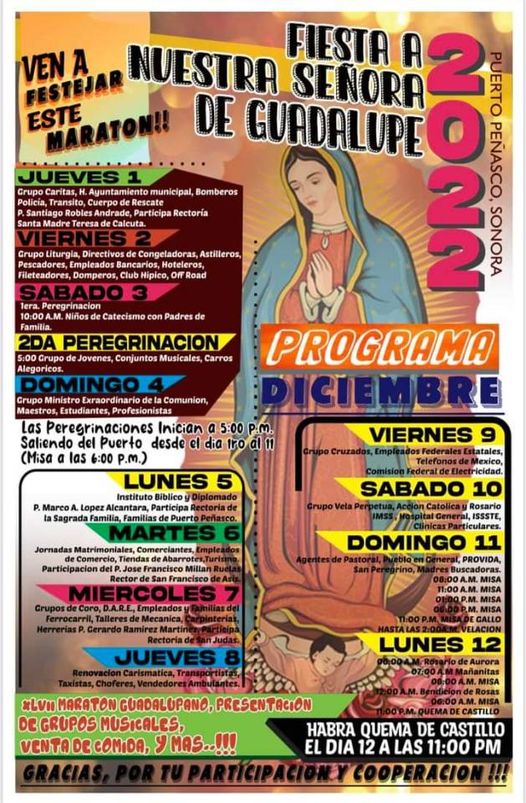 Peregrinacion-22 Fiesta a la Señora de Guadalupe