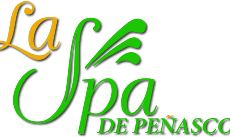laspa-logo-template-u894