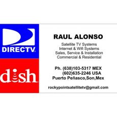 Satellite TV Systems Raul Alonso