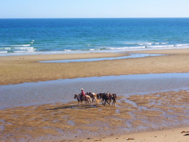 100_2528-1-620x465 Horseback riding on the beach