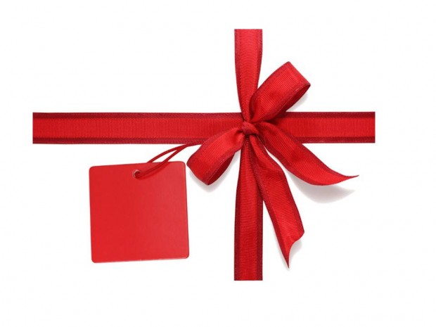 ribbon-620x465 Holiday Food, Toy & Blanket Drives