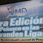 baseball-clinics-0-150x150 YSF 3rd Annual Coaches Clinic | Peñasco in the Major Leagues