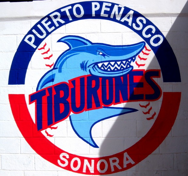 100_3669-620x582 Tiburones end of regular season nears  Still time to catch a game!!