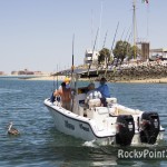 fishing-tourney-_8-150x150 5th Deep Sea Fishing Tournament ~ days 1 & 2