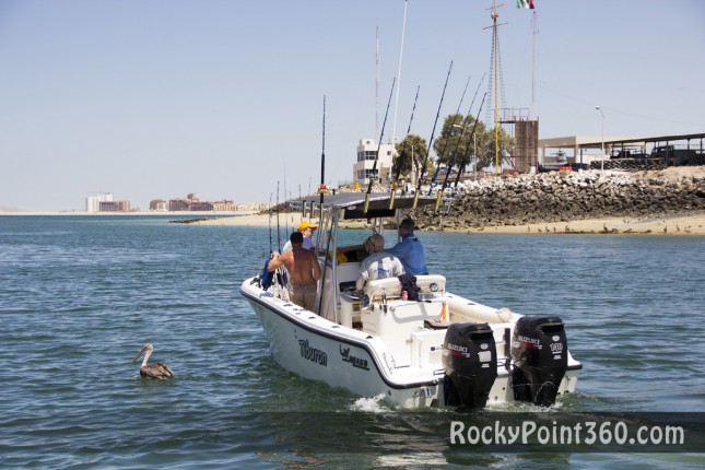 fishing-tourney-_8-645x430 Tri, and tri again!  Rocky Point Weekend Rundown!