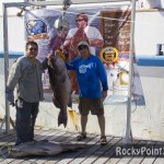 fishing-tourney-_9-150x150 5th Deep Sea Fishing Tournament ~ days 1 & 2