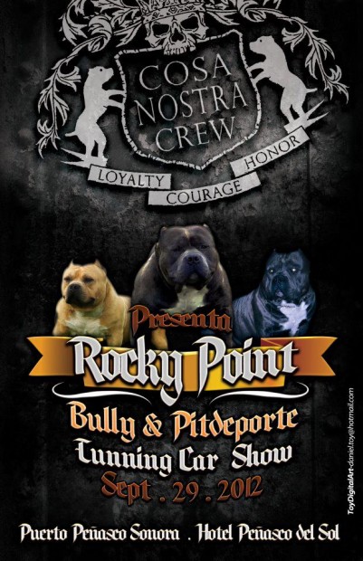 Rocky-Point-Bully-pitdeporte-401x620 Weekend Rundown  Viva México!