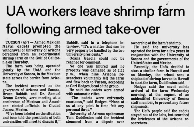 shrimp-farm-620x406 Rocky Point Perspective: The great shrimp showdown of 1980  (Part II)