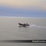 4-ene-ecofun-10-150x150 Puerto Peñasco Whale Watching