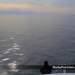4-ene-ecofun-14-150x150 Puerto Peñasco Whale Watching