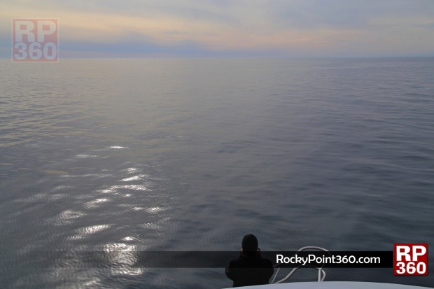4-ene-ecofun-14-620x413 Puerto Peñasco Whale Watching