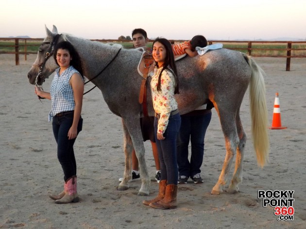 equine-therapy-2-630x472 La equinoterapia en Puerto Peñasco nace de una pasión por los caballos