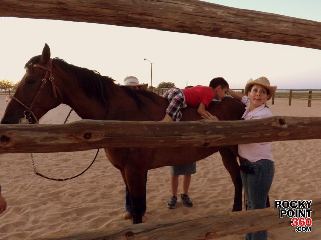 equine-therapy-7-630x472 La equinoterapia en Puerto Peñasco nace de una pasión por los caballos