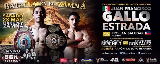 gallo-28marzo-630x253 Defenderá el Gallito Estrada su campeonato el próximo sábado en Mérida