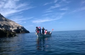 Grupo-lobos_agosto-EL-2-300x194 Pescadores de Bahía San Jorge realizan monitoreo biológico de lobos marinos