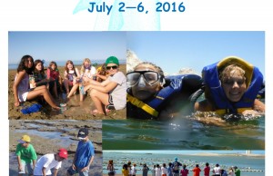 cedo-wfcamp-2016-300x194 Ready for summer! Rocky Point Memorial Day Weekend Rundown!