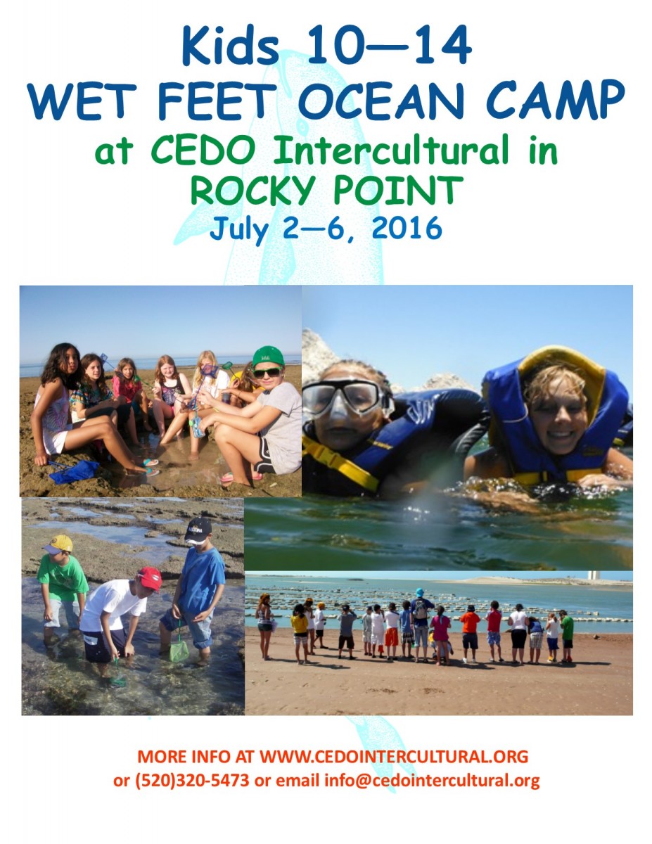 cedo-wfcamp-2016-927x1200 Get ready for CEDO Wet Feet Ocean Camp this summer!