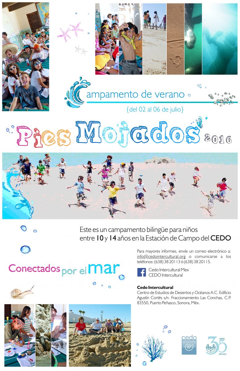 Flyer_Campamento-Pies-Mojados2016_2-300dpi-777x1200 Get your Feet Wet! CEDO Summer Camp  July 2nd-6th