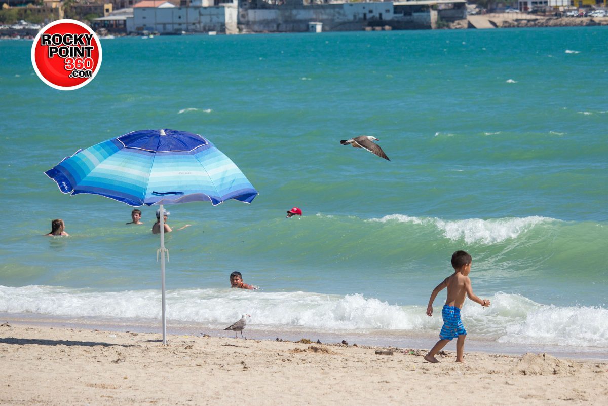 Tips On Puerto Penasco Gradual Beach Reopening Starting Aug 1st Rocky Point 360