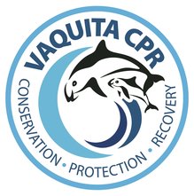 vaquita-cpr Construction begins on Vaquita sanctuary