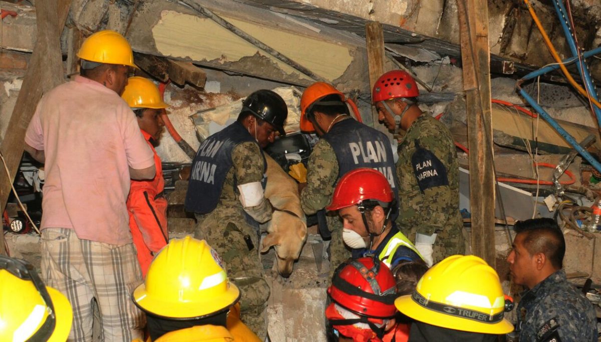 sept-CDMX-sismo-1-1200x683 Mexican Navy implements Recovery Phase following earthquake