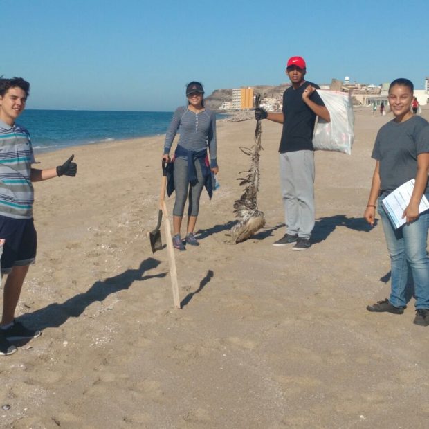 playas-sept30c-620x620 Más de 500 personas participaron en jornada de Playas Limpias